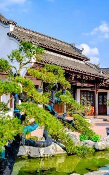 为什么封闭训练是提高篮球水平的有效途径_0